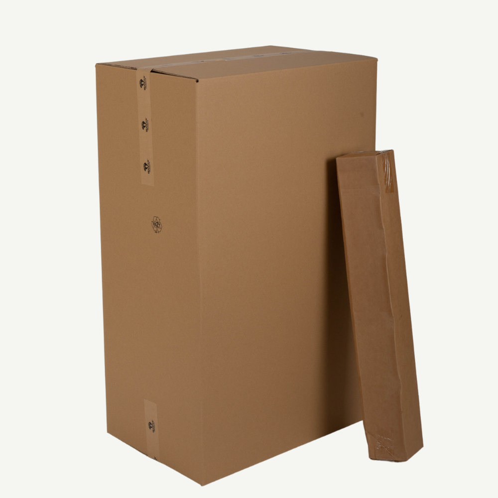 K12 Cardboard Box 3D Animals