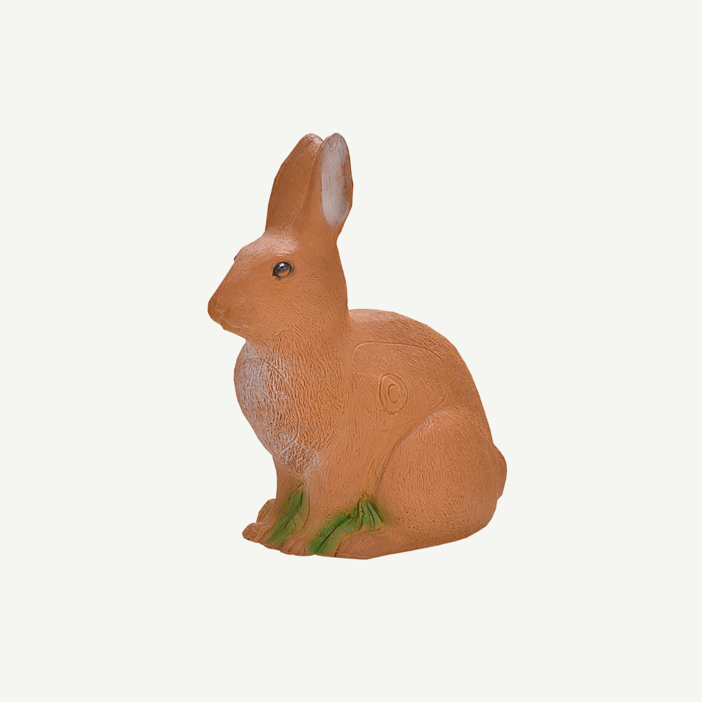 IBB 3D European hare