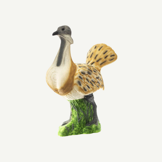 100422 IBB 3D Target Bustard