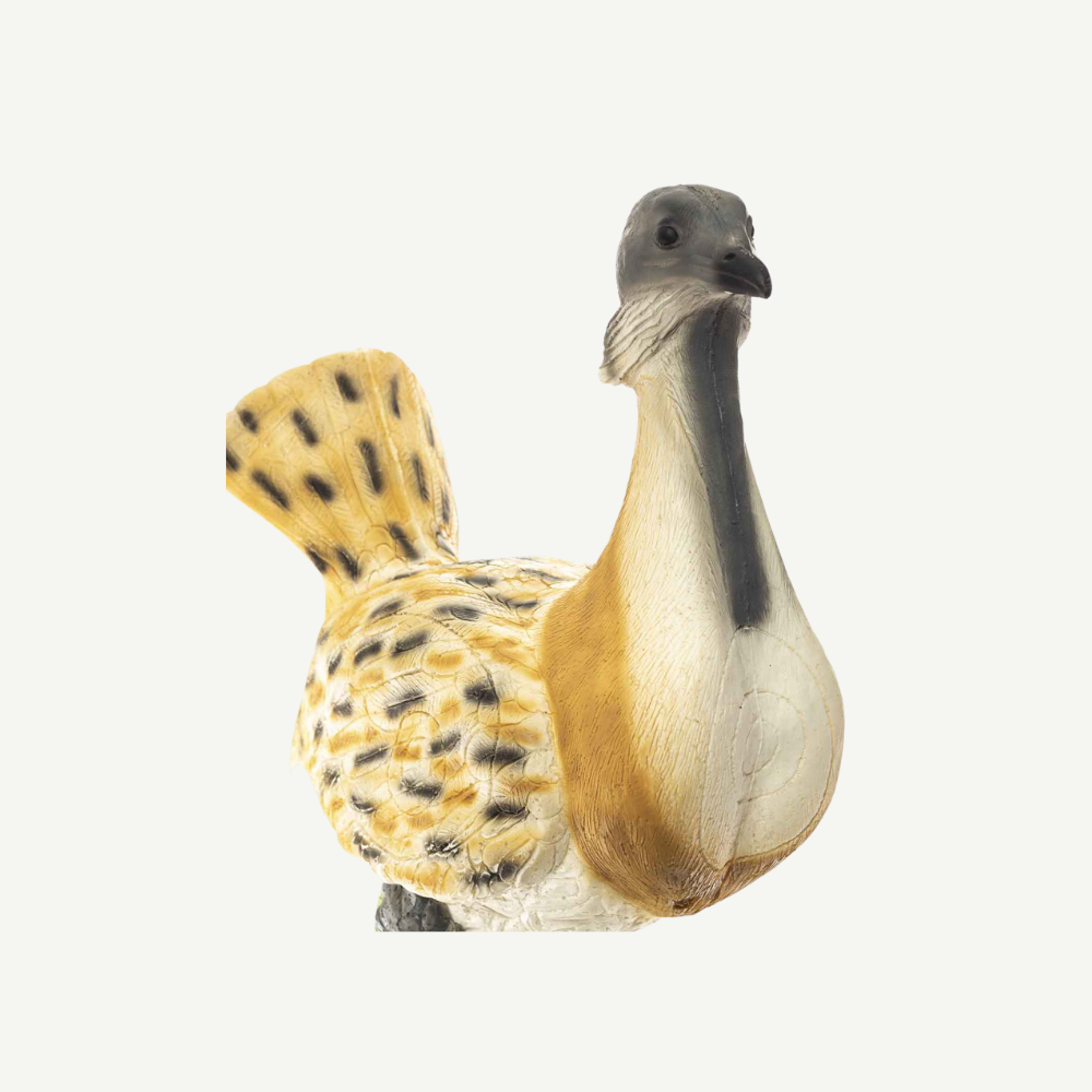 100422 IBB 3D Target Bustard