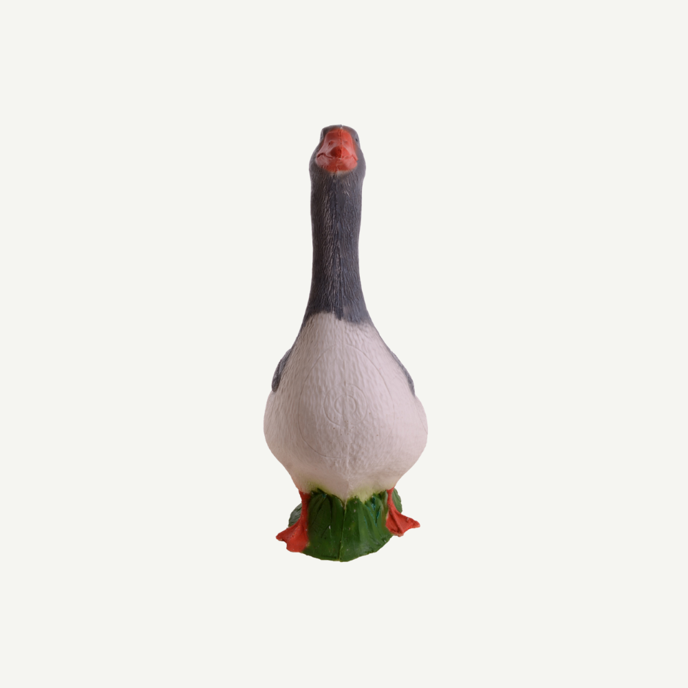 100426 IBB 3D target Greylag goose