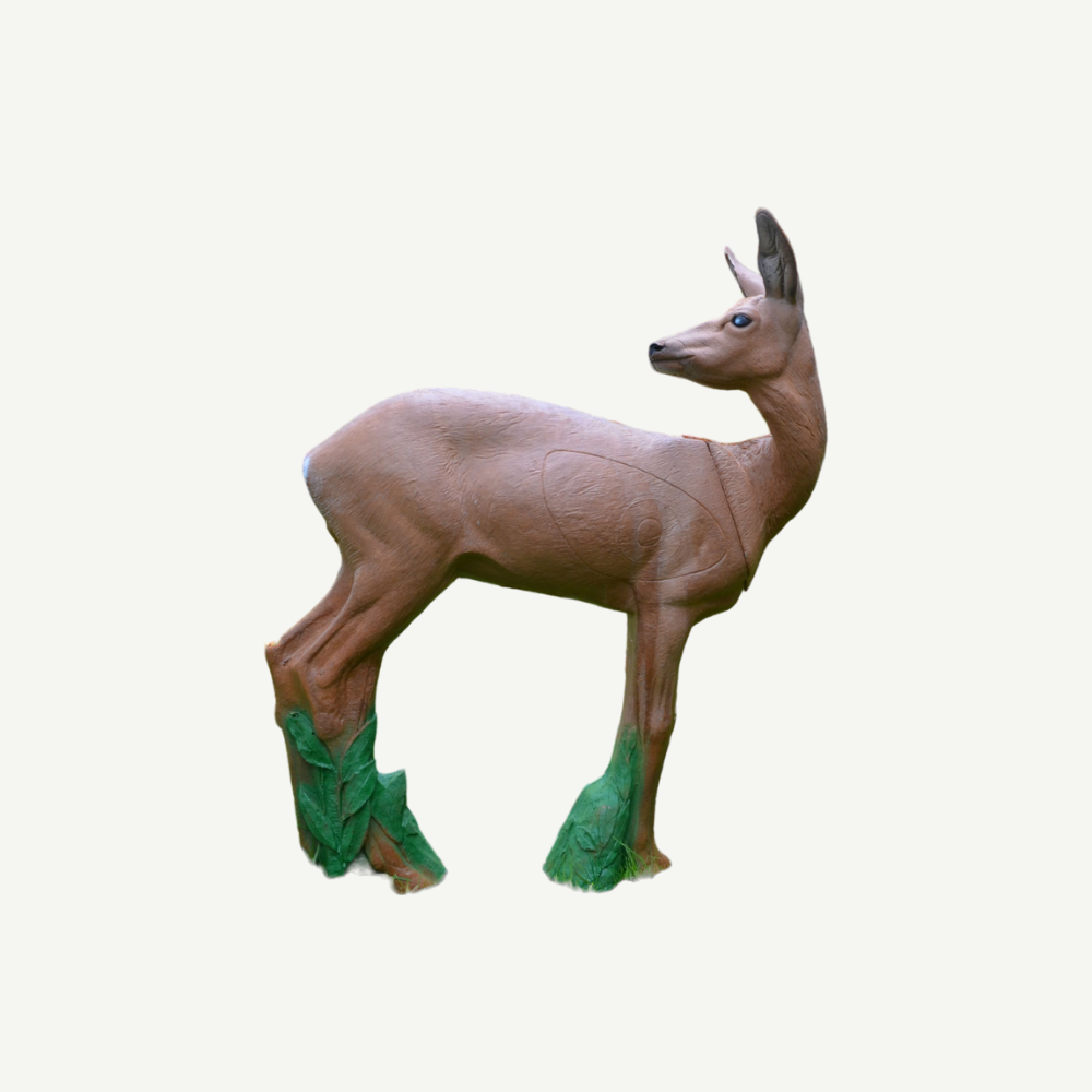 IBB 3D Target doe looking backwards