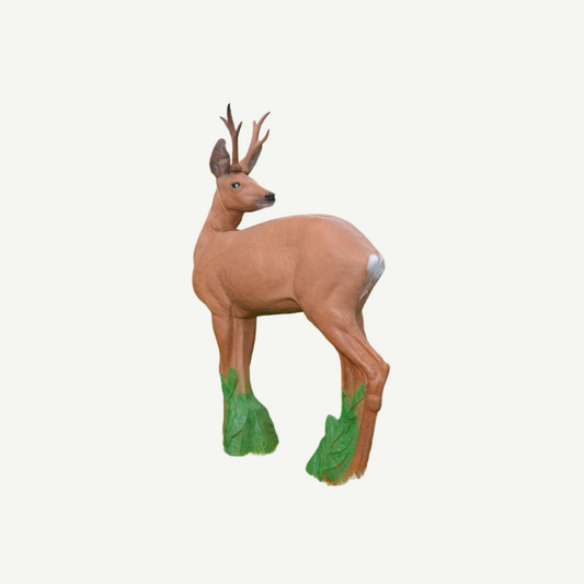 IBB 3D Target Roebuck looking backwards