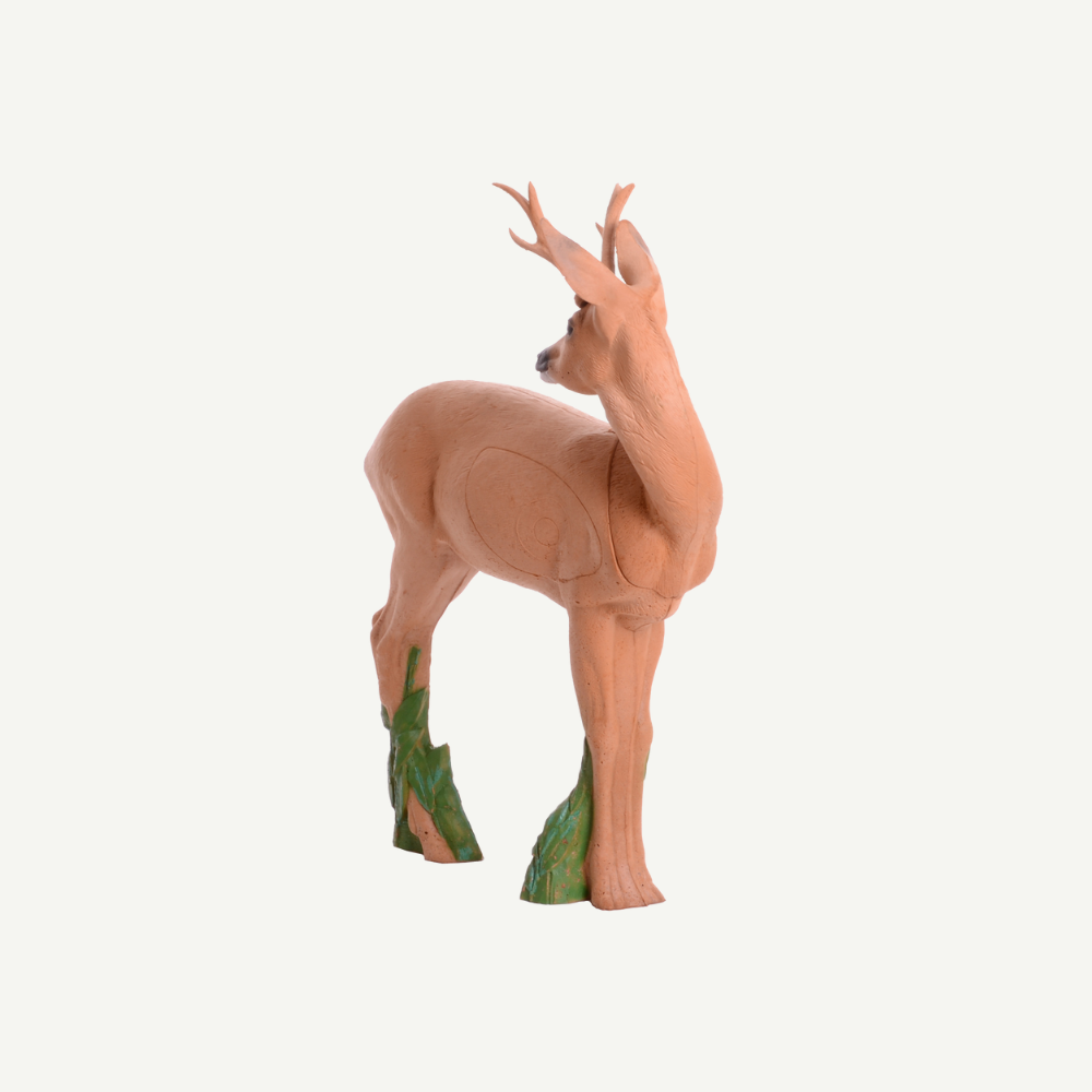 IBB 3D Target Roebuck looking backwards