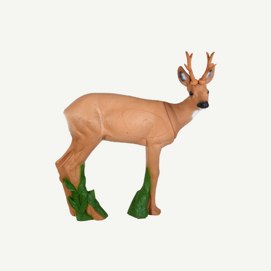 IBB 3D Target Roebuck looking to the right