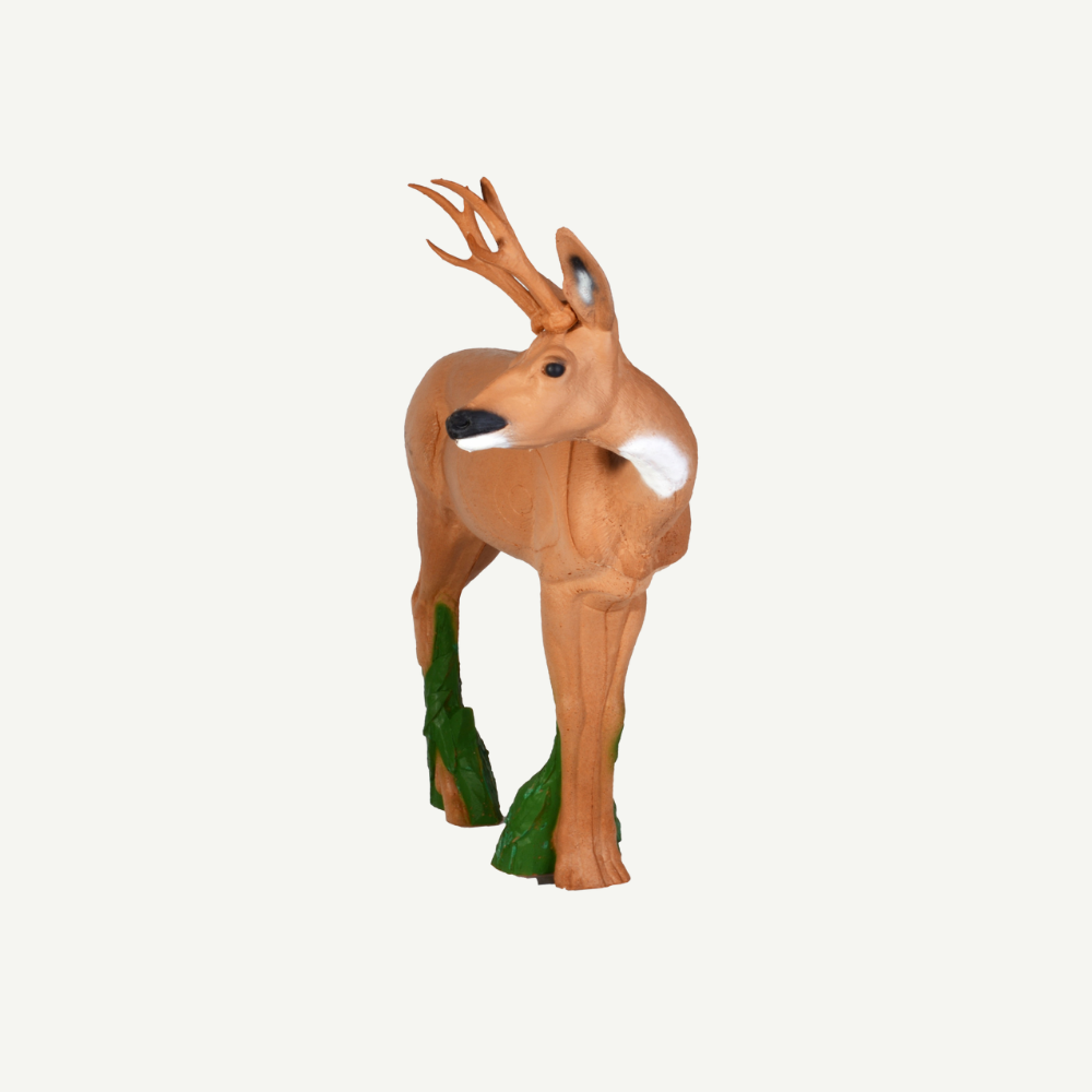 100468 IBB 3D Target Roebuck looking to the right