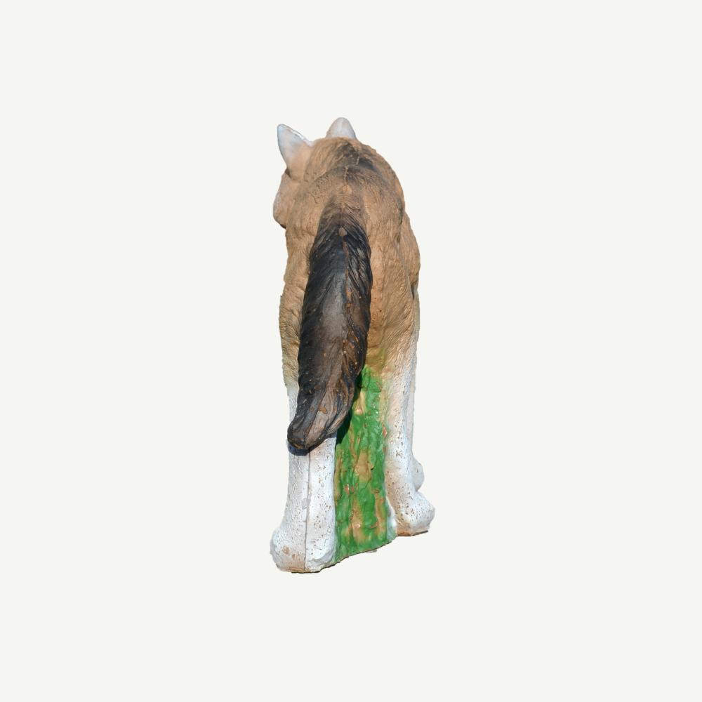 100469 IBB 3D Target wolf pup
