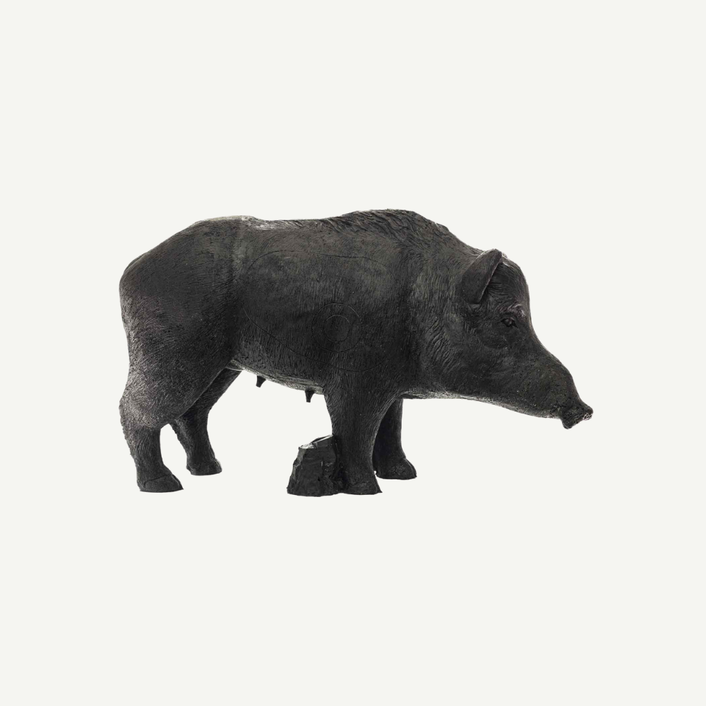 100505 IBB 3D old adults Wild Boar Sow