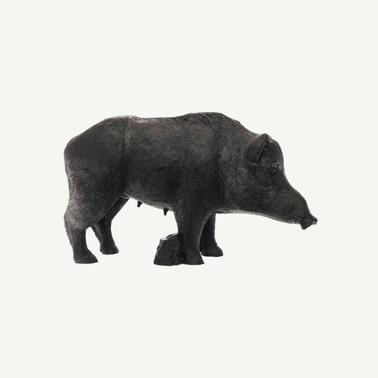 IBB 3D old adults Wild Boar Sow