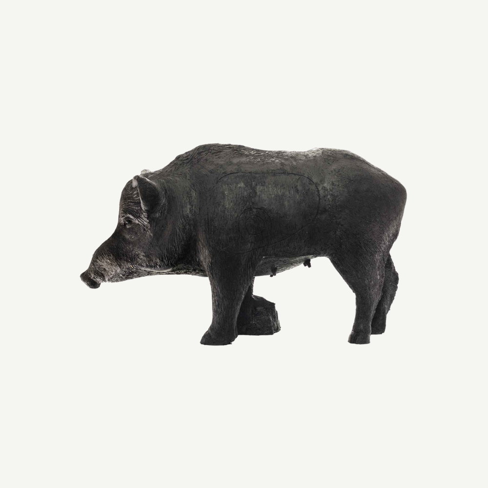 100505 IBB 3D old adults Wild Boar Sow