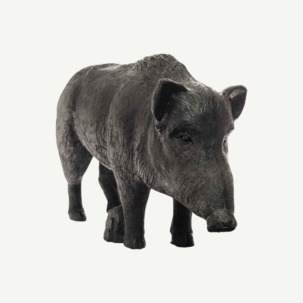 100505 IBB 3D old adults Wild Boar Sow