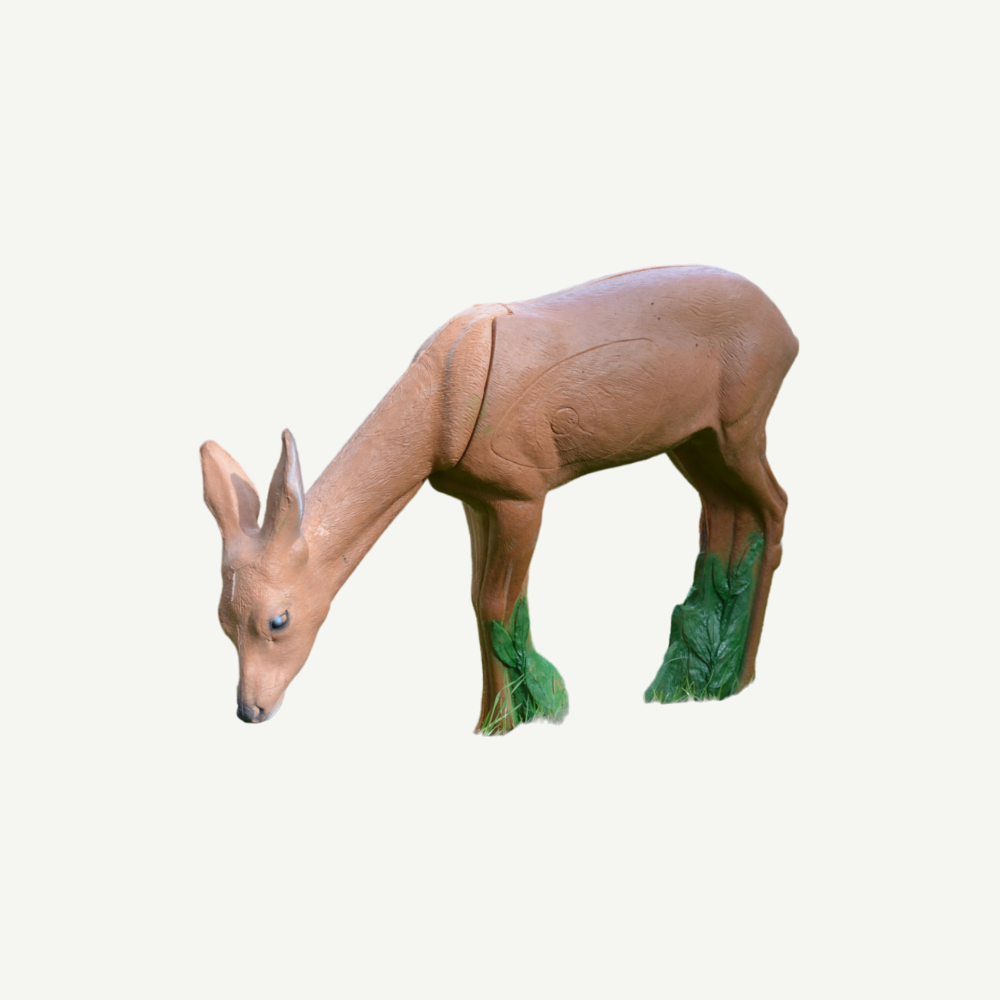 IBB 3D Target Doe browsing