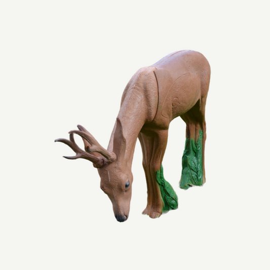 100438 IBB 3D Target Roebuck browsing