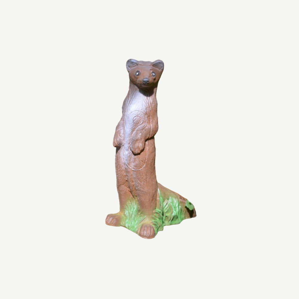 100419 IBB 3D Target beech marten
