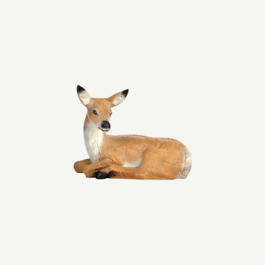 60227 3D Target Franzbogen lying Roebuck