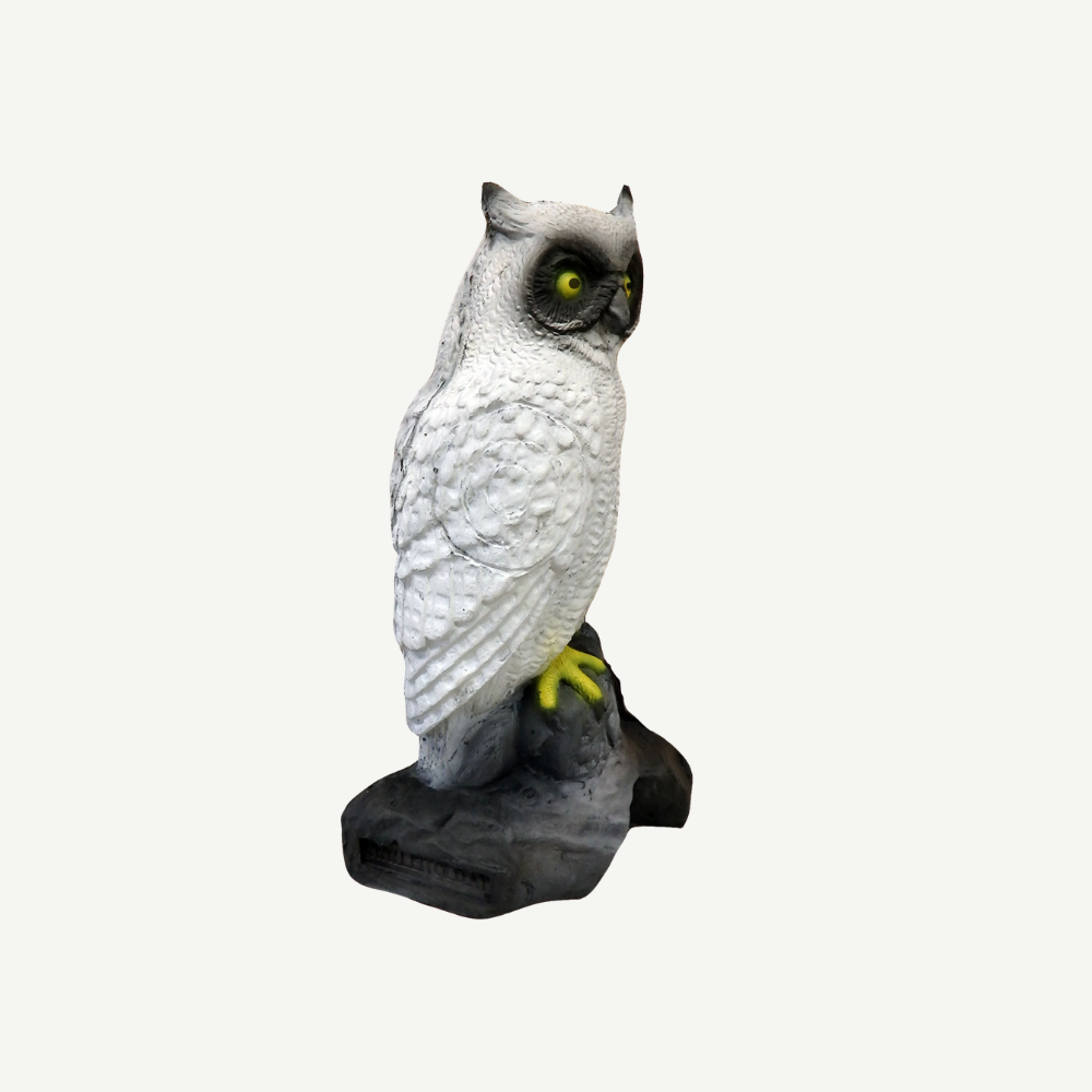 100212 Leitold Snow Owl