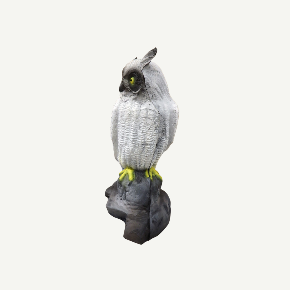 100212 Leitold Snow Owl