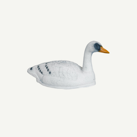 Leitold Swan
