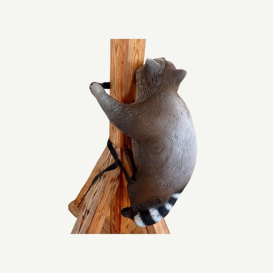 Leitold Climbing Raccoon with lashing straps