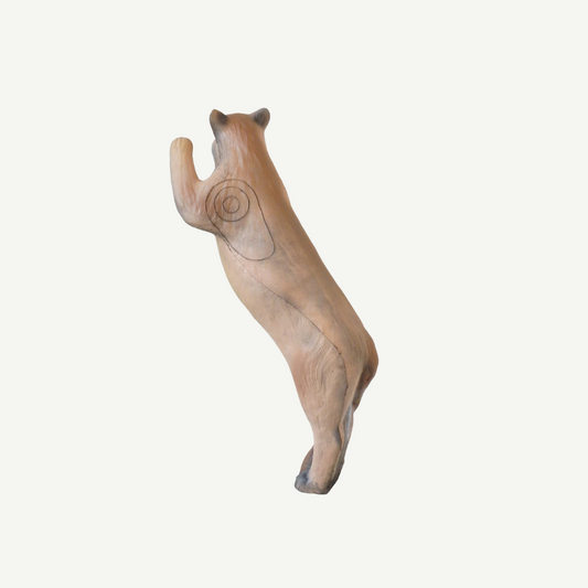 Leitold Mountain Lion on hind legs