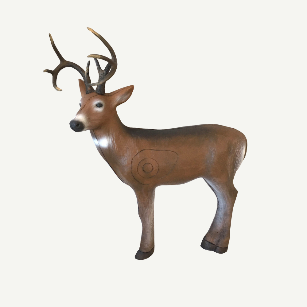 Leitold Young Whitetail Buck