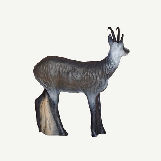 Leitold Female Chamois