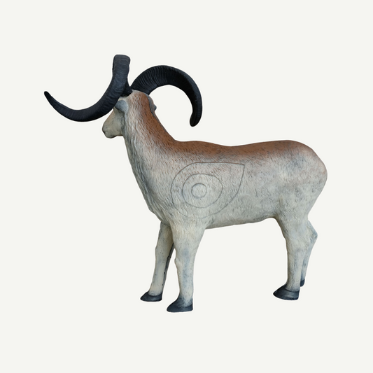 Leitold Marco Polo Sheep