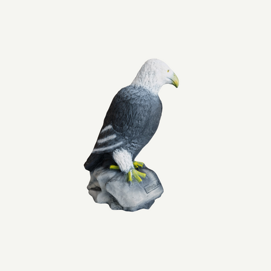 Leitold Weißkopfseeadler sitzend