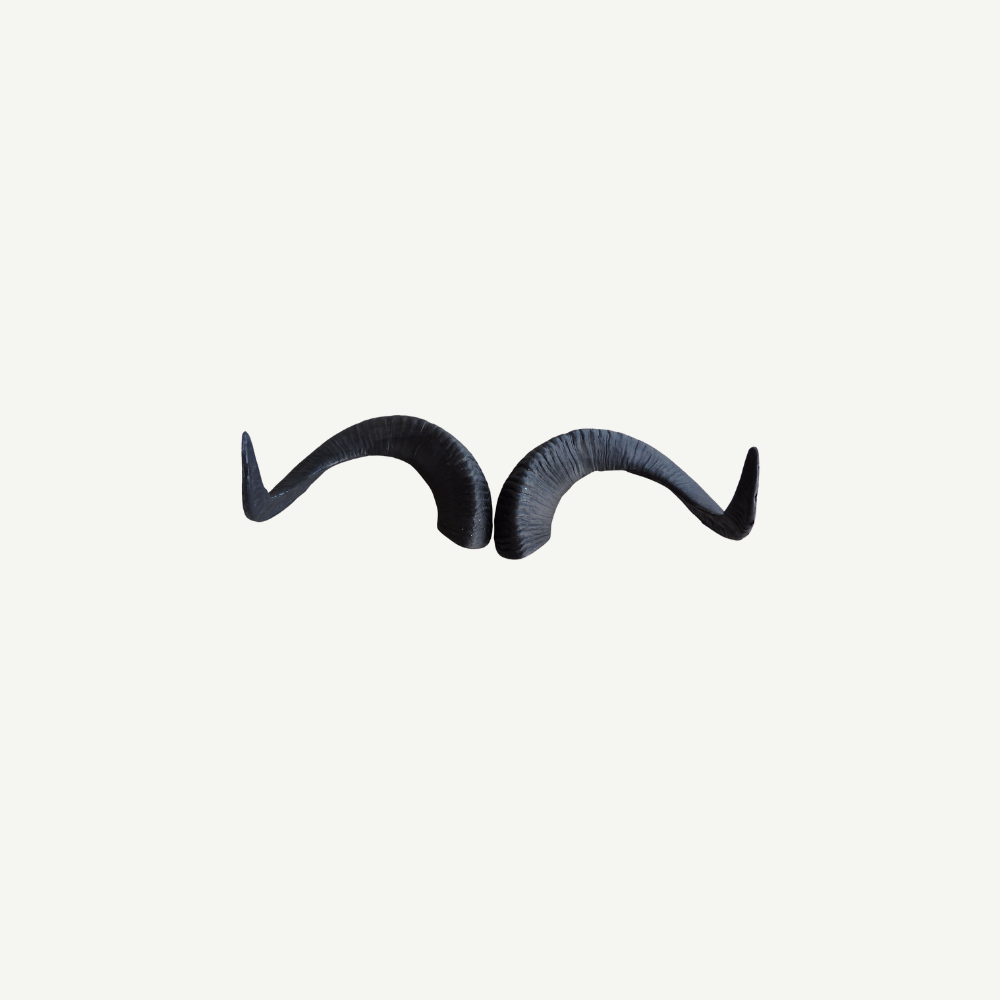 Leitold Marco Polo Horns (1 Pair)
