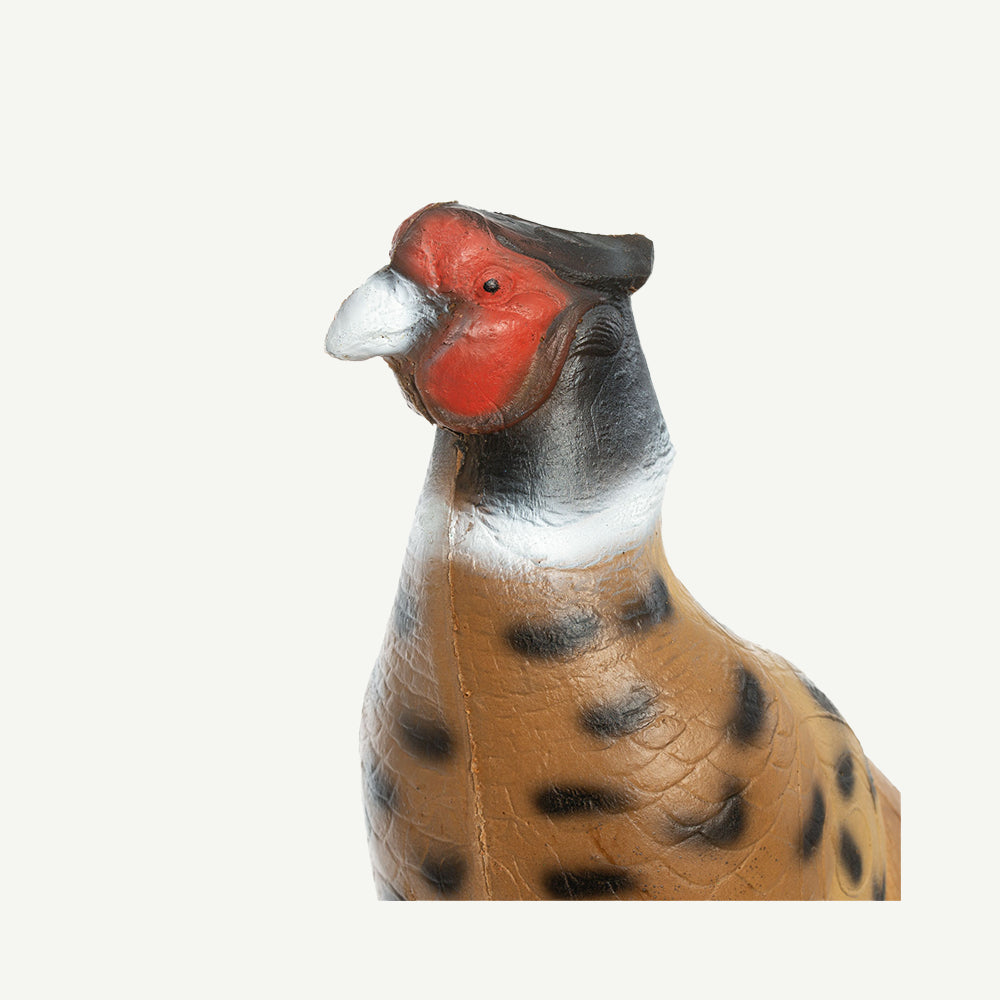 IBB 3D Animal Noble Pheasant