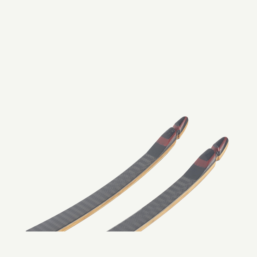 Bodnik Mohawk Limbs Hybrid Carbon