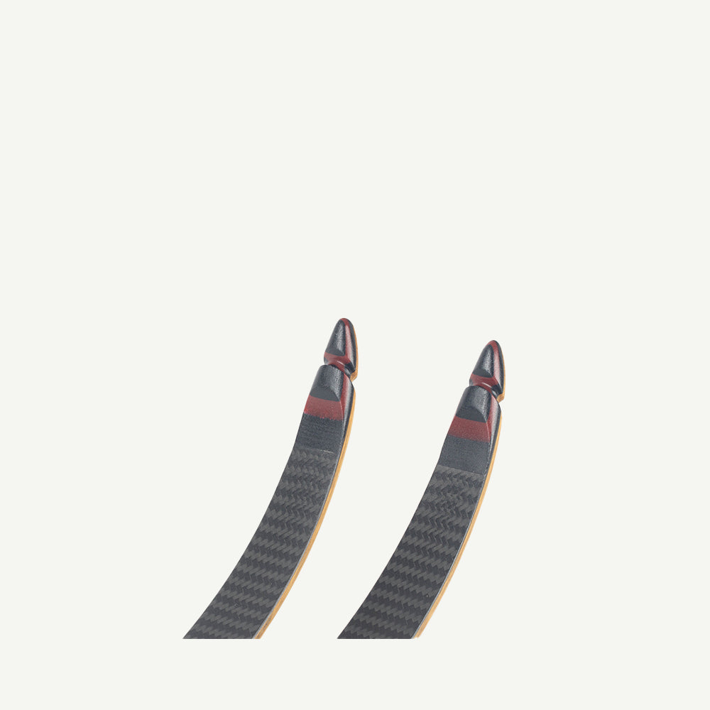 Bodnik Mohawk Limbs Recurve Long Carbon