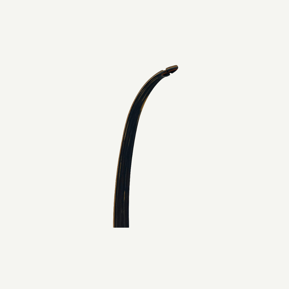 101118 Bodnik Redman Recurve Bow