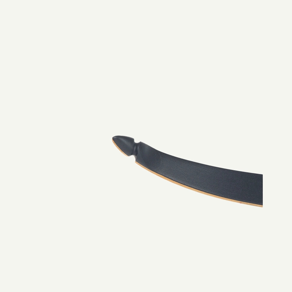 Bodnik Slick Stick Black Longbow