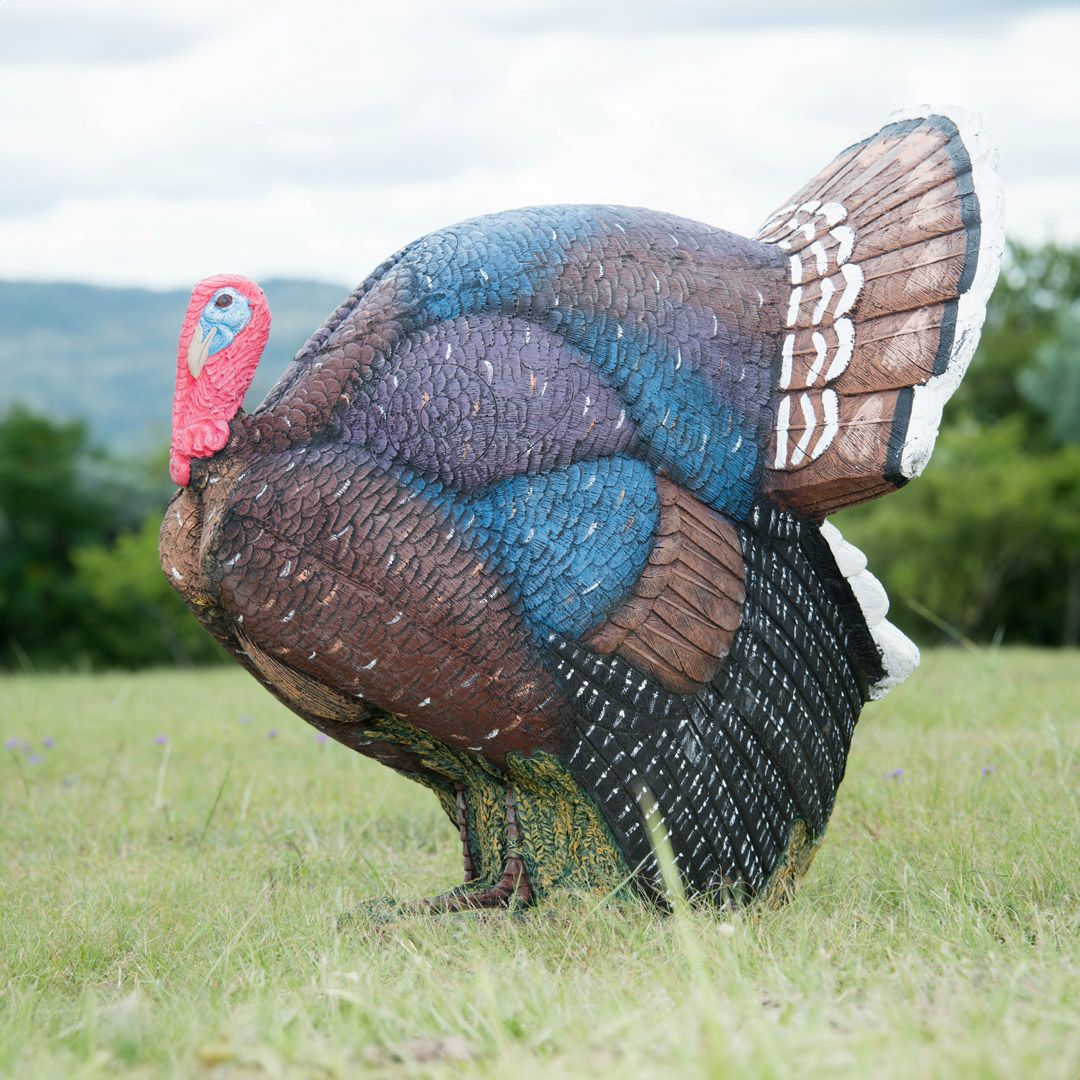 Wildcrete 3D Target - Turkey