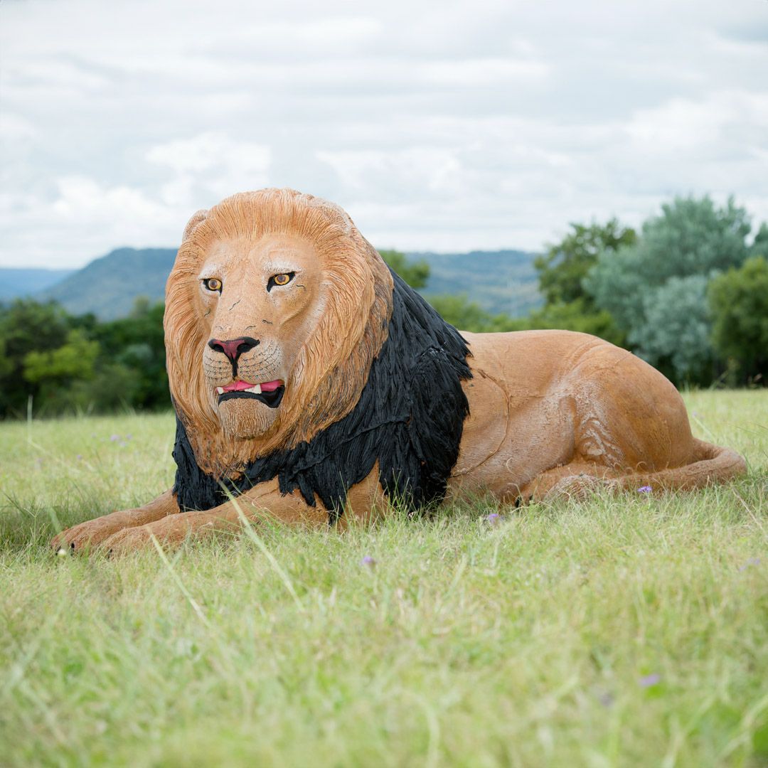 Wildcrete 3D Target - Lion Bedded