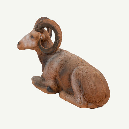 100108 Longlife Lying Mouflon