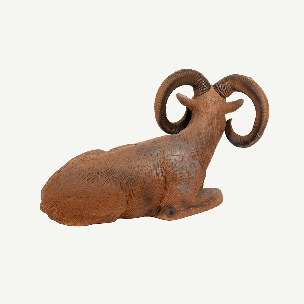 100108 Longlife Lying Mouflon