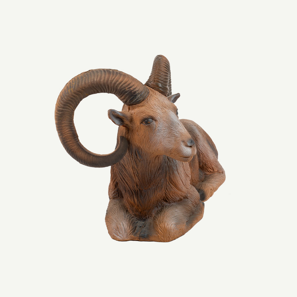 100108 Longlife Lying Mouflon