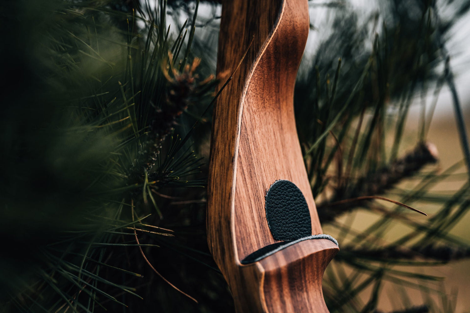 Bodnik Recurvebögen