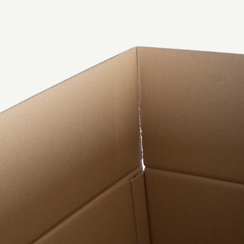 K12 Cardboard Box 3D Animals