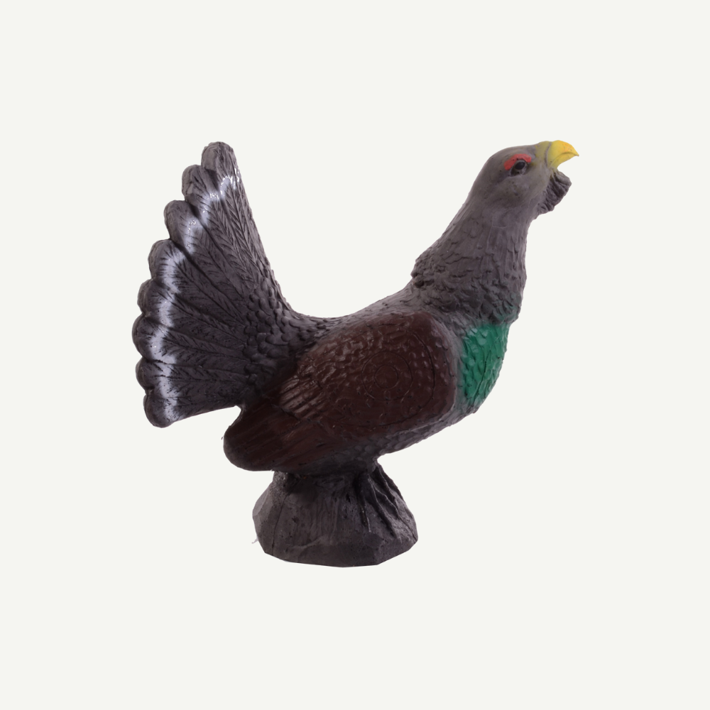 100413 IBB 3D mountain cock