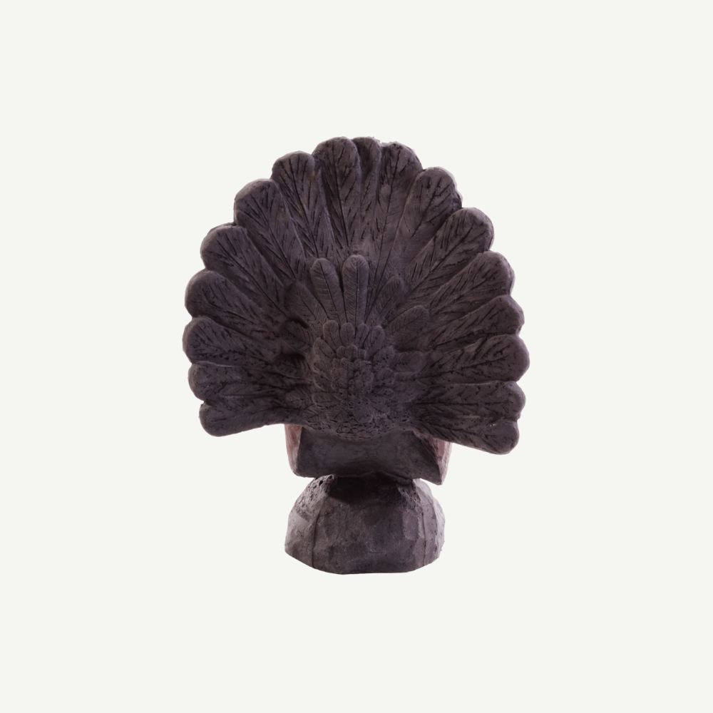 100413 IBB 3D mountain cock