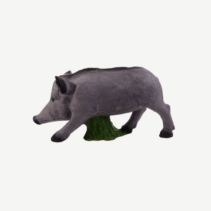 100412 IBB 3D target young wild boar