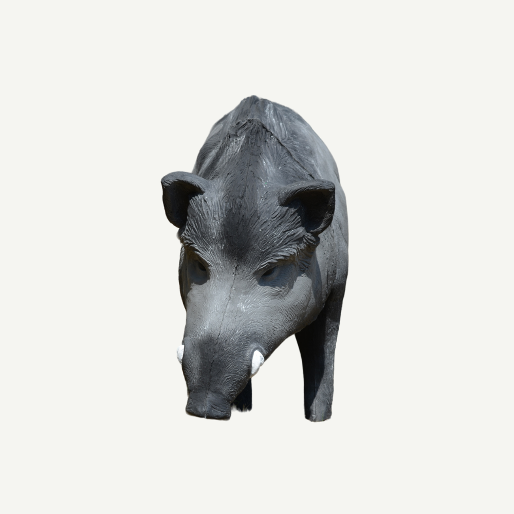 100414 IBB 3D big Wild Boar - Tusker