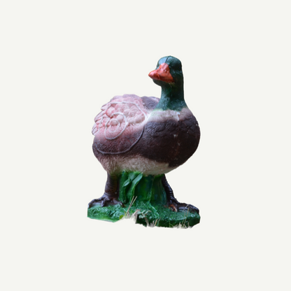 100424 IBB 3D Target Drake