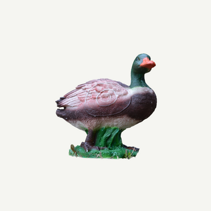 100424 IBB 3D Target Drake