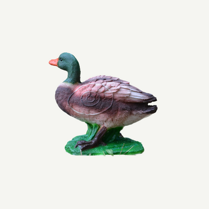 100424 IBB 3D Target Drake