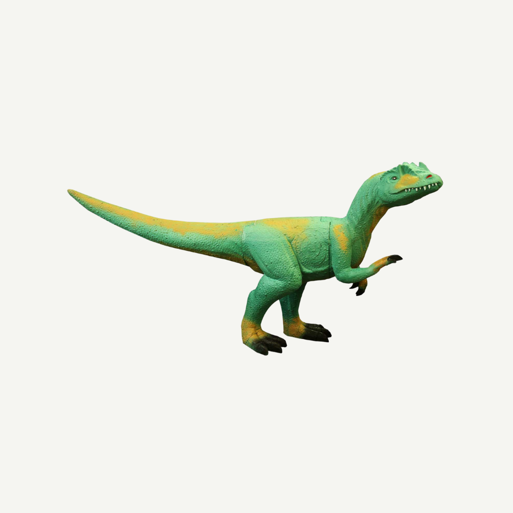 100482 IBB 3D Target raptor