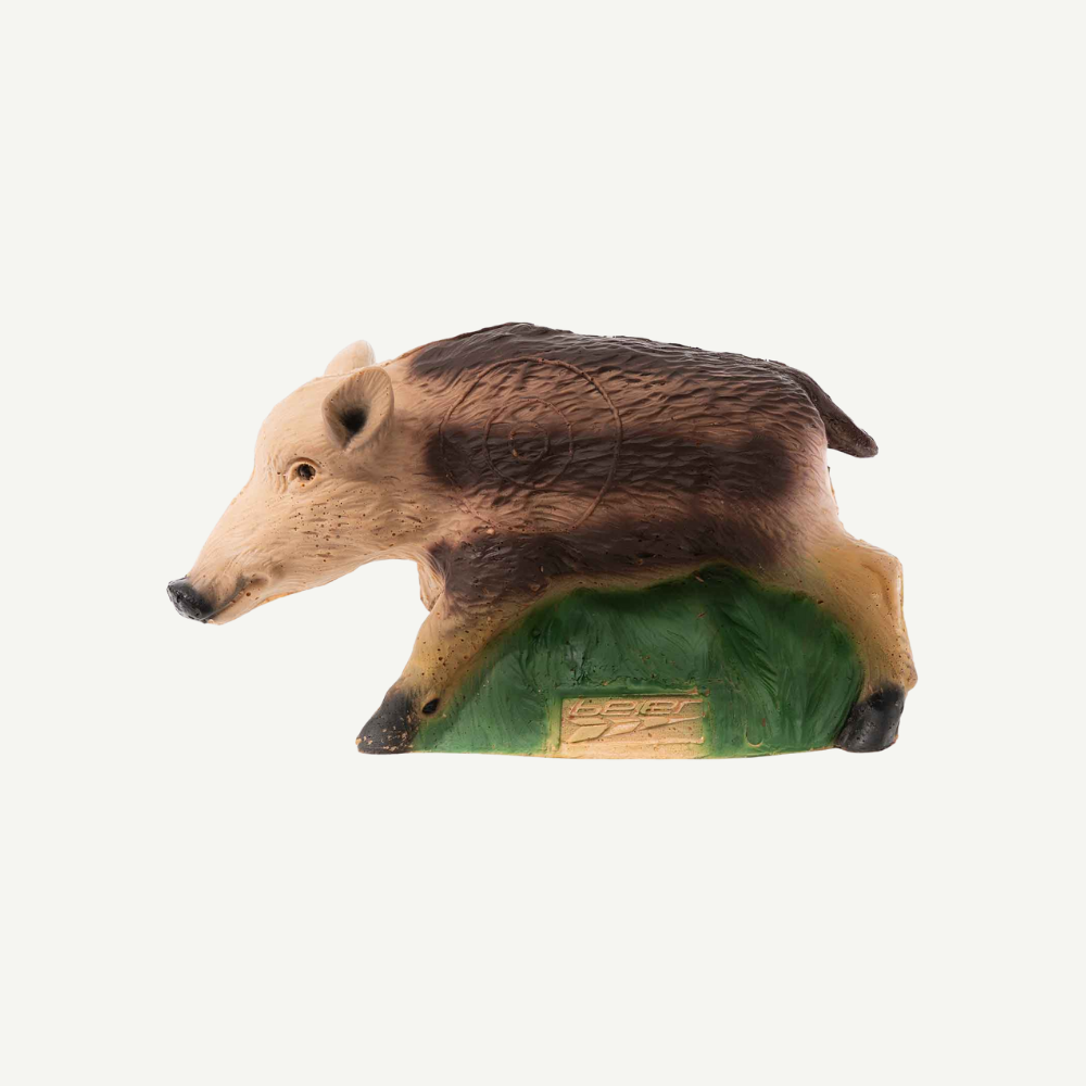 100502 IBB 3D target small young Boar